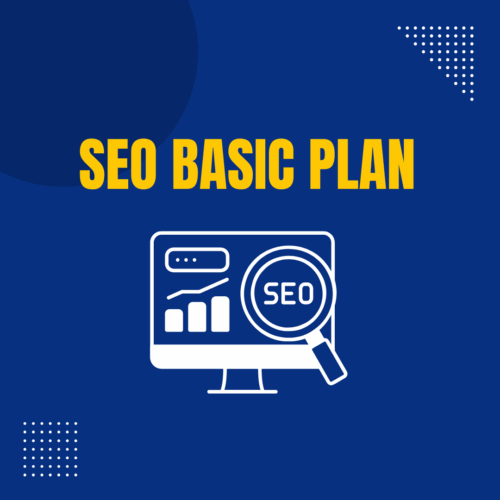 SEO Basic Plan